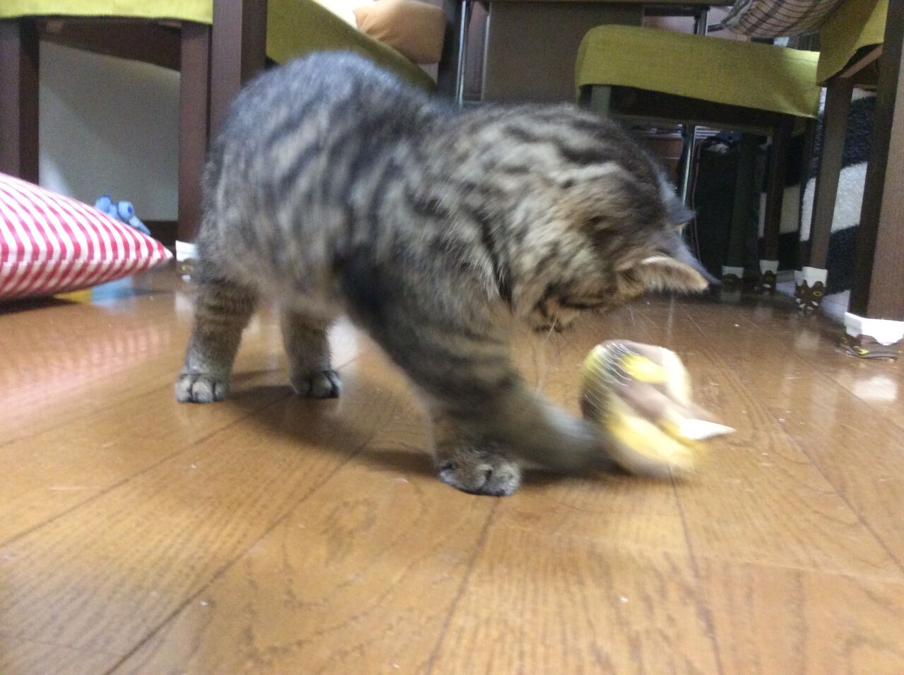 イメージ 5