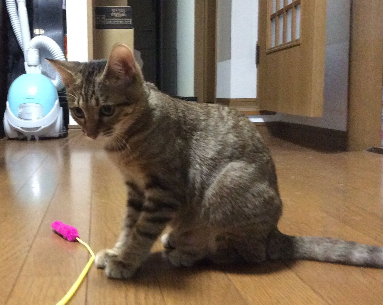 イメージ 6