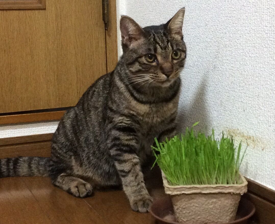 イメージ 3