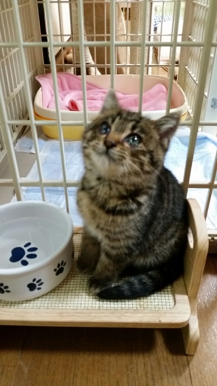 イメージ 4