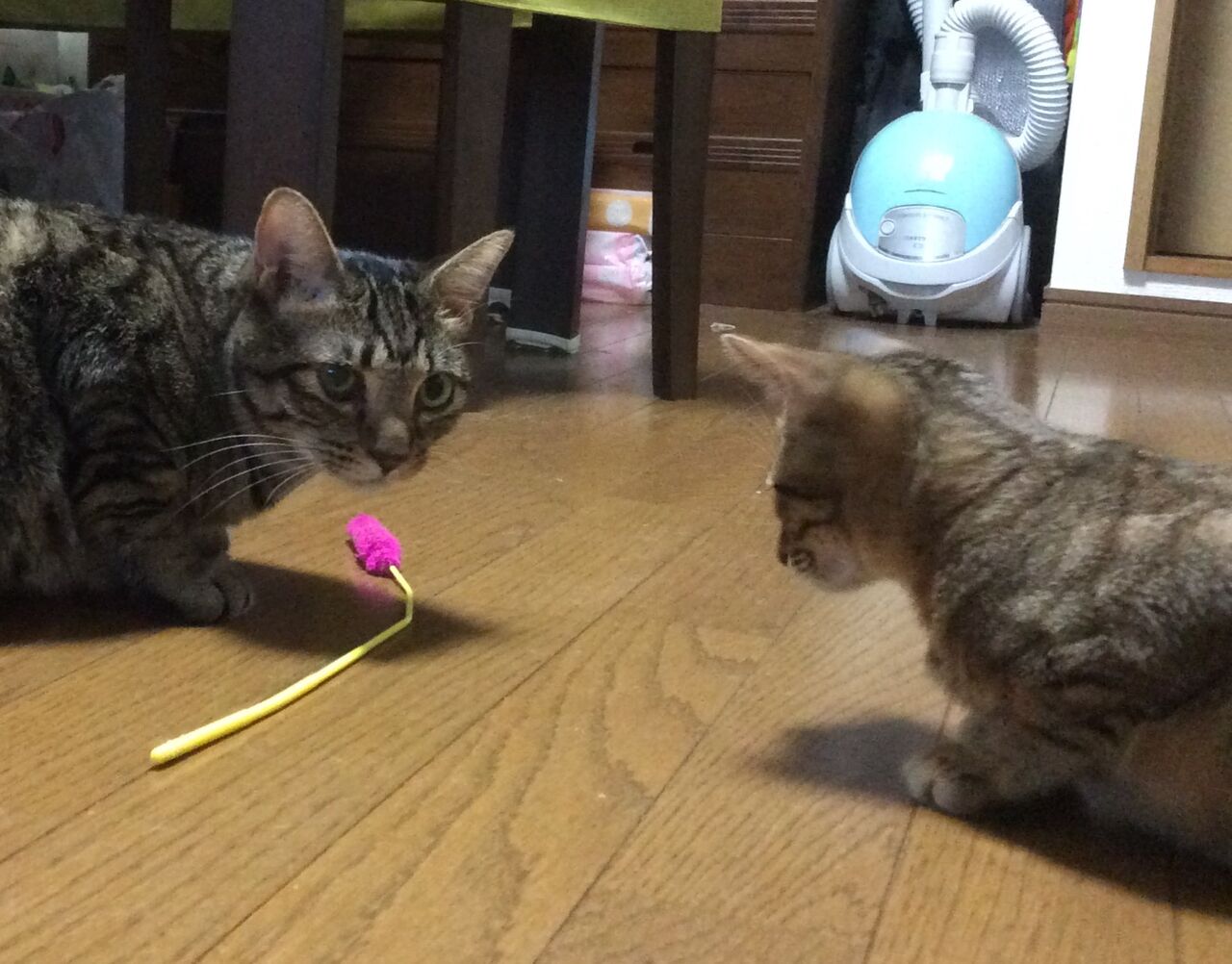イメージ 4