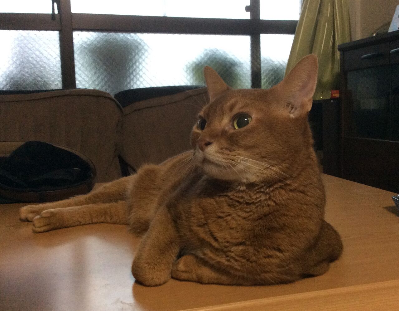 イメージ 5