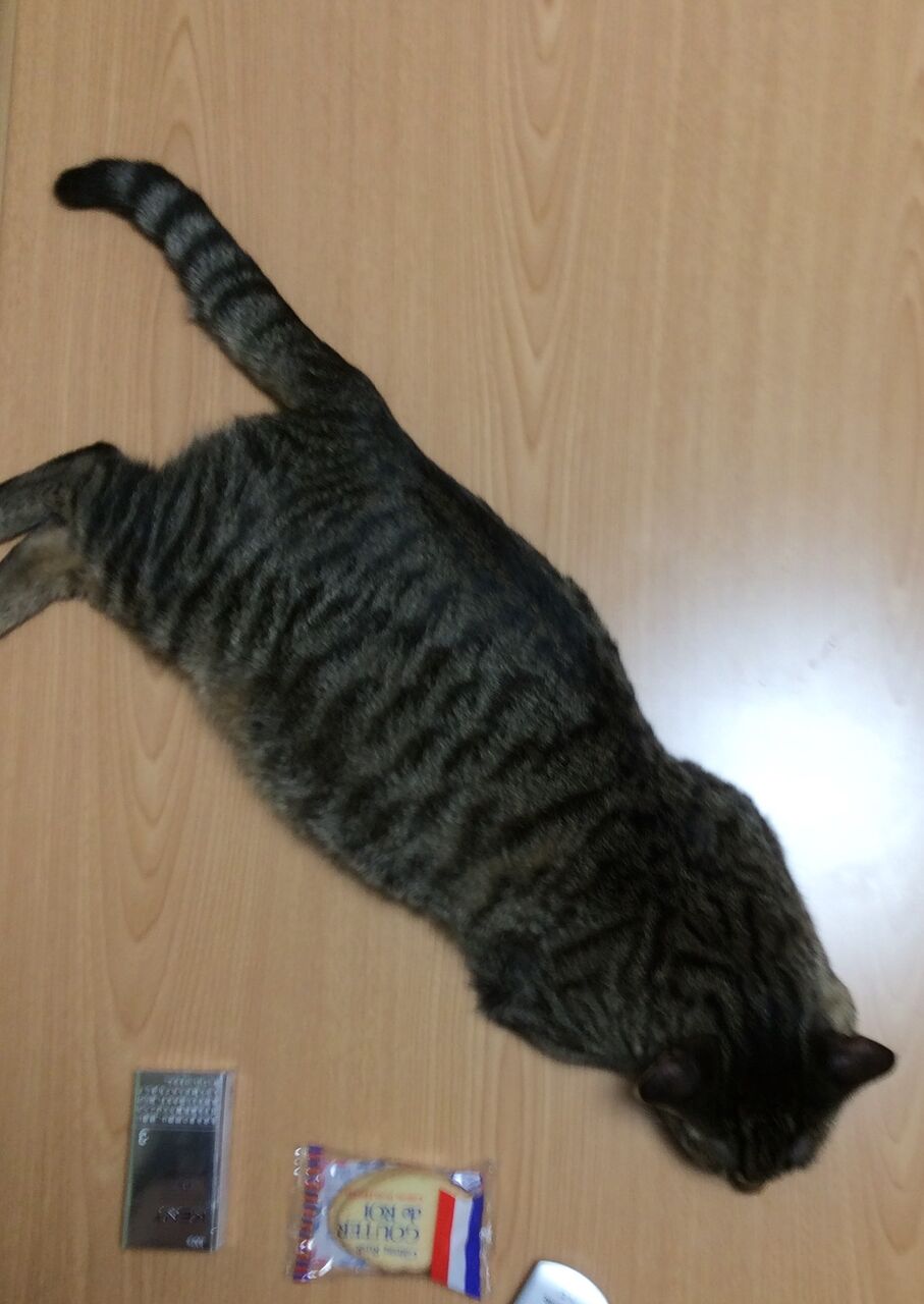 イメージ 3