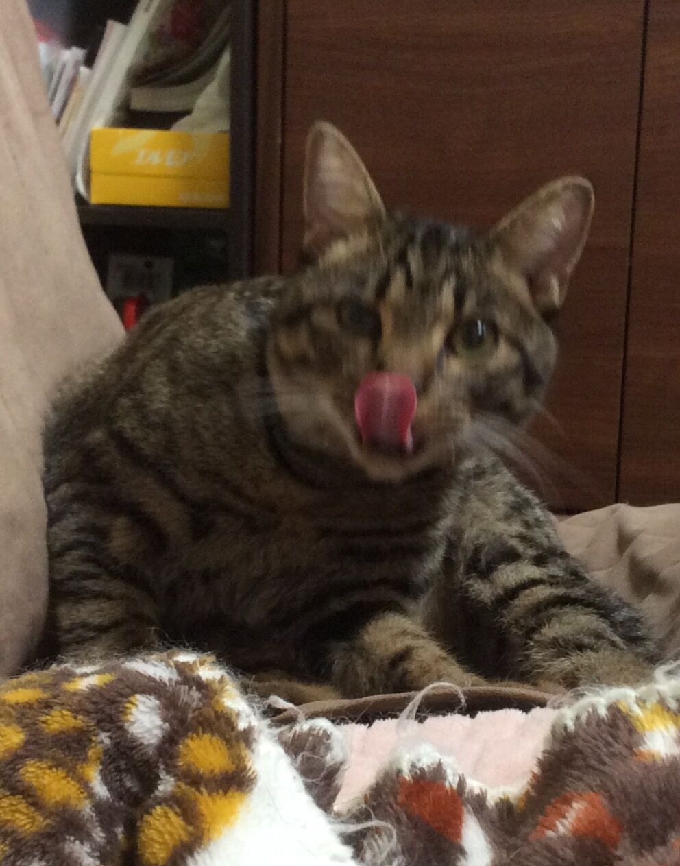 イメージ 2