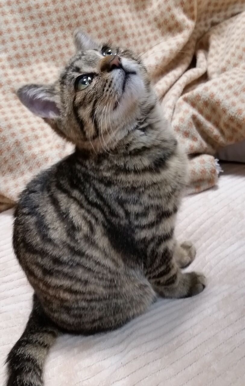 イメージ 2
