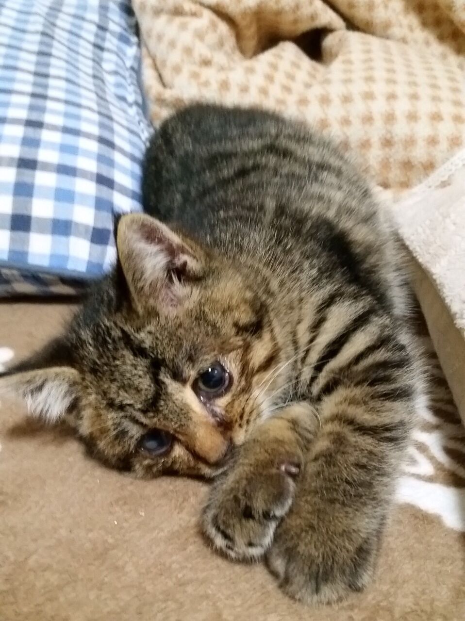 イメージ 2