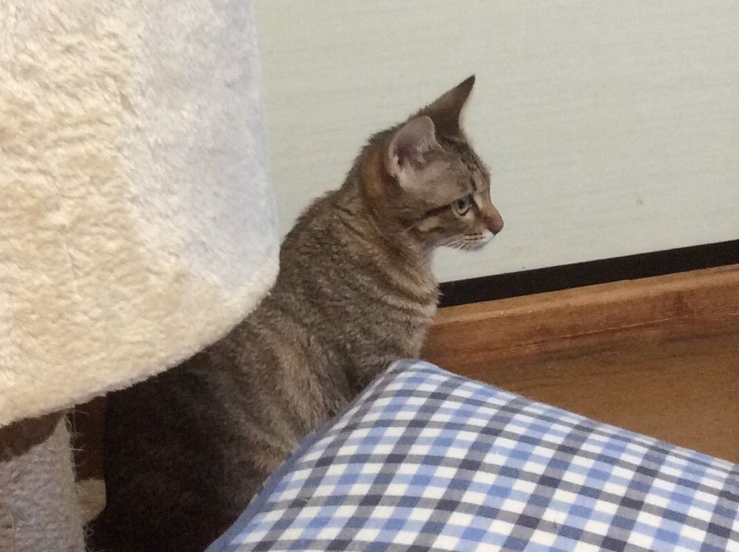 イメージ 3