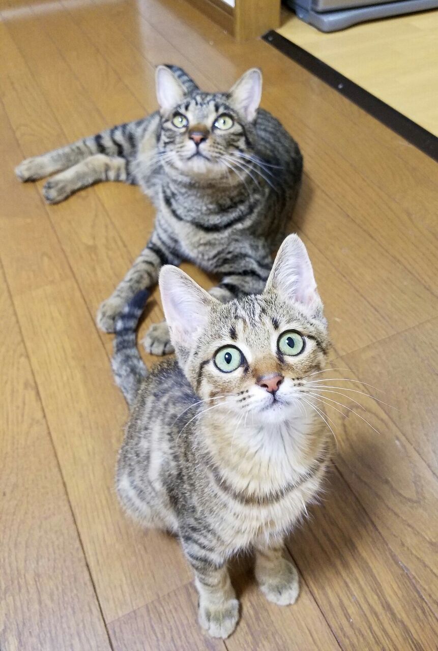 イメージ 1