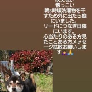 93E7866A-7624-4881-8B7B-5F885A53658A