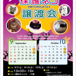 6371102E-FB77-400D-B453-967F2BC22BB7