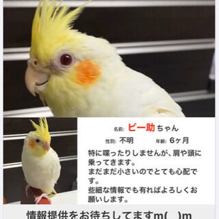 B2377BE7-CCBC-4B8A-8D88-3D15966C0424