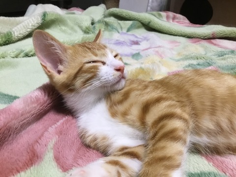 IMG_2476