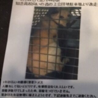 9533B34D-B9CE-4935-AA9D-B9BB171C8ECD