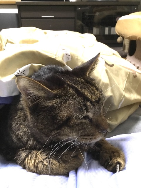 IMG_4989