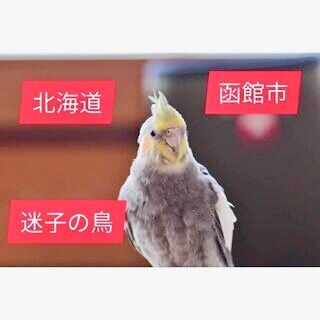 707F27E9-7DFC-4D6C-889C-13FBC5B44334