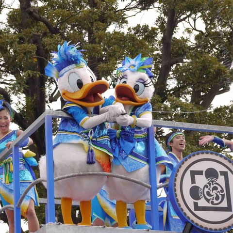 TDR_2014_雅涼群舞_ドナデジ