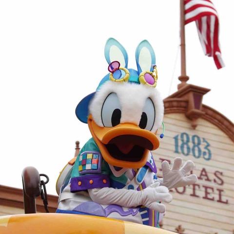TDL_2019_うさたま大脱走!_ドナルド