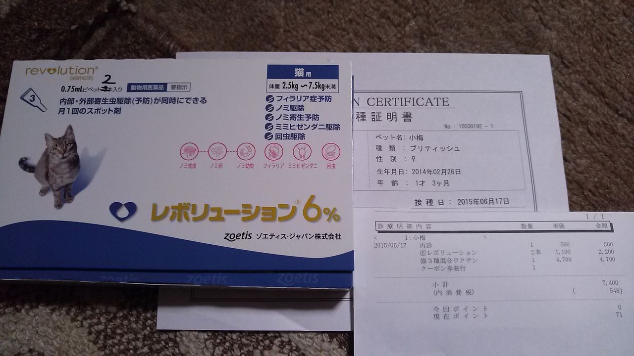 猫3種混合ﾜｸﾁﾝ : u2020パチプロ琉涙とブリショの小梅u2020