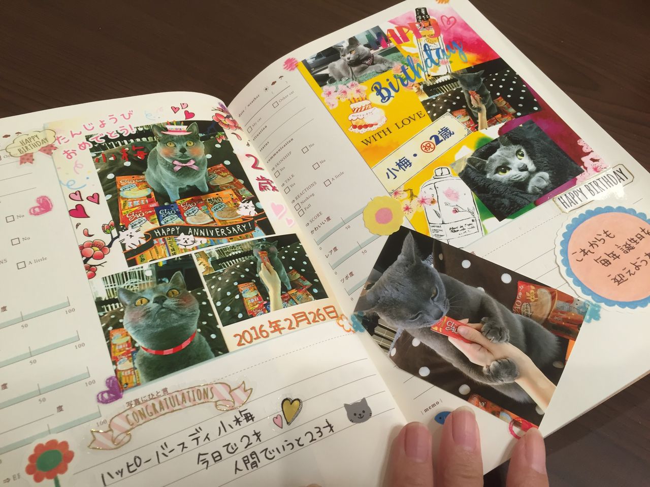 小梅の猫アルバム パチプロ琉涙とブリショの小梅