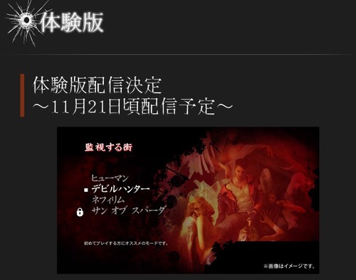 DMC 体験版 (1)