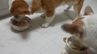 20150120_204712