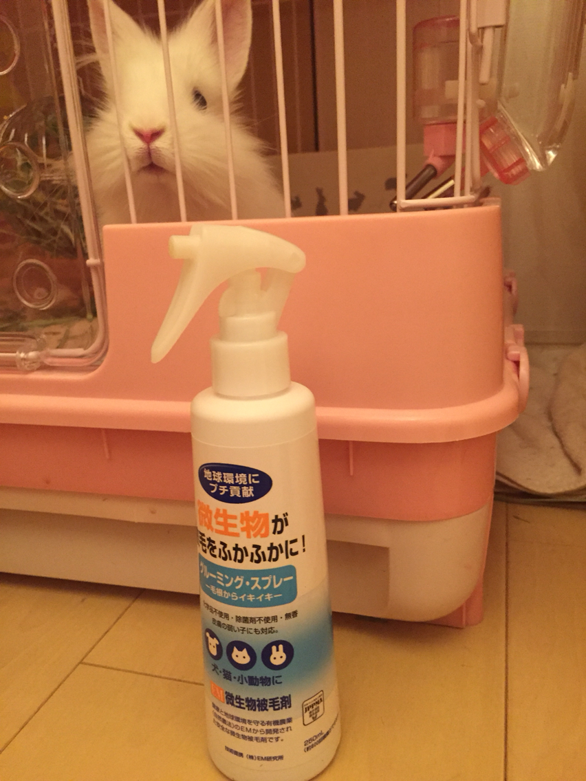うさぎのハゲ ソアホックがこれで治りました 月からやって来たルナくんと兎いっぱい夢いっぱい うさぎのハゲ ソアホックがこれで治りました 月からやって来たルナくんと兎いっぱい夢いっぱい
