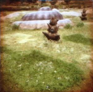 お宝の写真 ウェナ編 今日もきっと旅に出る お宝の写真 ウェナ編 今日もきっと旅に出る