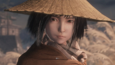 20190618sekiro05