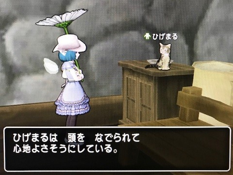 はちわれ 今日もきっと旅に出る