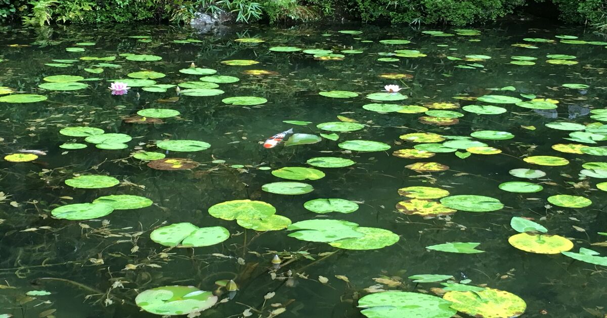 明日はきっと今日よりいい日 日々のこと