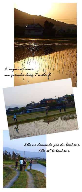 pho84.jpg