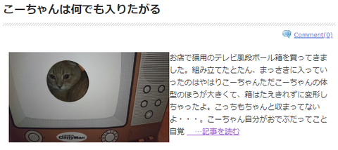 なんでもはいる記事