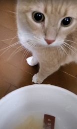 興奮でまんまるおめめ