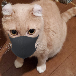 マスクこーちゃん