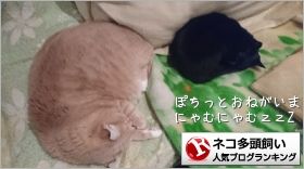 るな&コータバナー