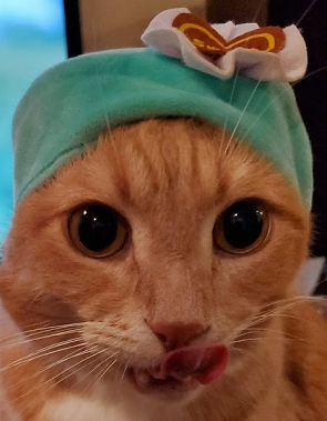したぺろこーちゃん