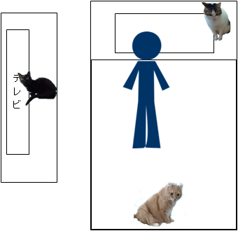 猫にゃんずの配置