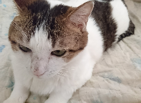 横にのんちゃん