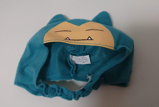 猫にゃんず ポケットモンスター をかぶる 我が家の猫にゃんず