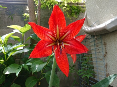 DSC_7335_copy_800x600
