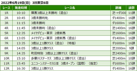 20220619東京競馬レース一覧