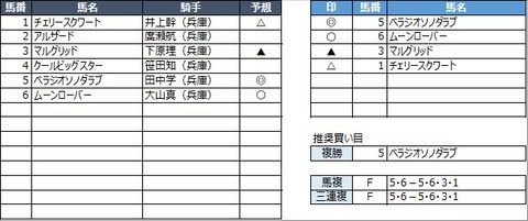 20221130園田8R