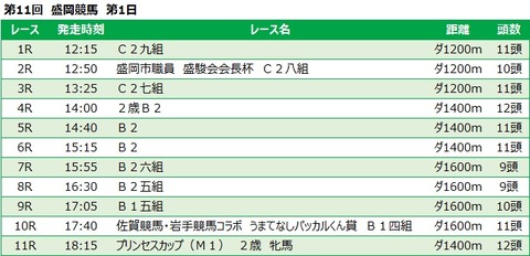 20221113盛岡競馬レース一覧