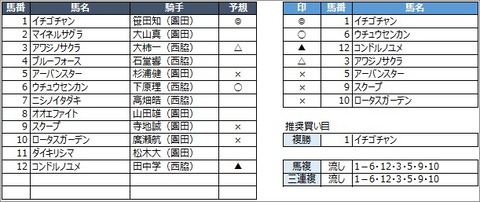 20200805園田8R