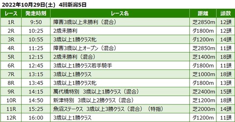 20221029新潟競馬レース一覧