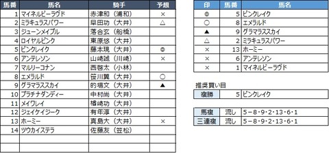 20191231大井6R