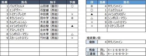 201908091園田5R