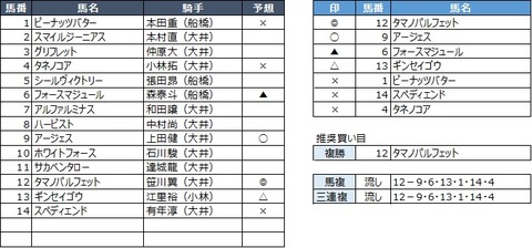 20190729大井2R