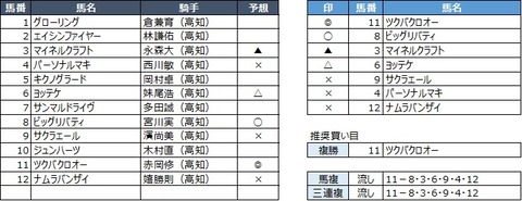 200191124高知10R