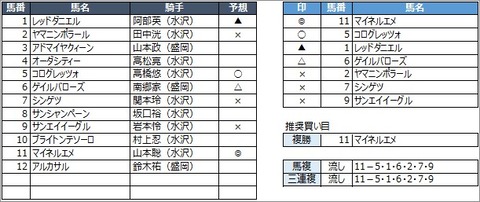 20200809盛岡9R